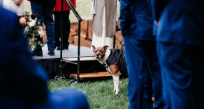 Meetings & Events 15