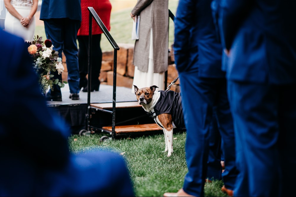 Meetings & Events 15