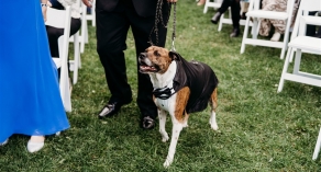 Meetings & Events 10