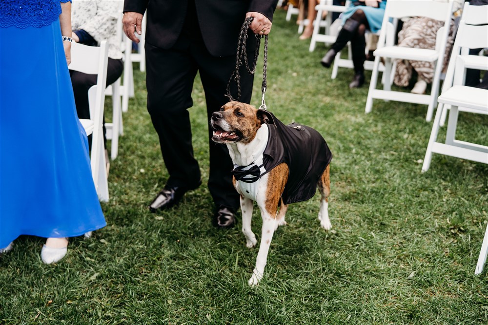 Meetings & Events 10