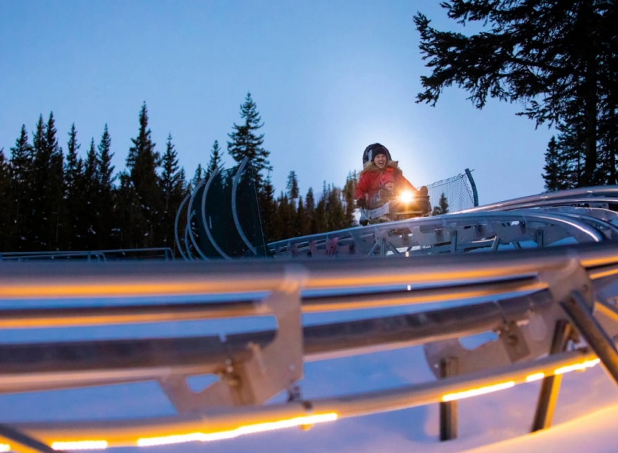 Breathtaker Alpine Coaster