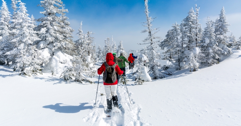 A group of people cross country skiing through the woods