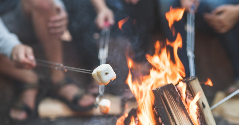 people roasting marshmallows over a campfire
