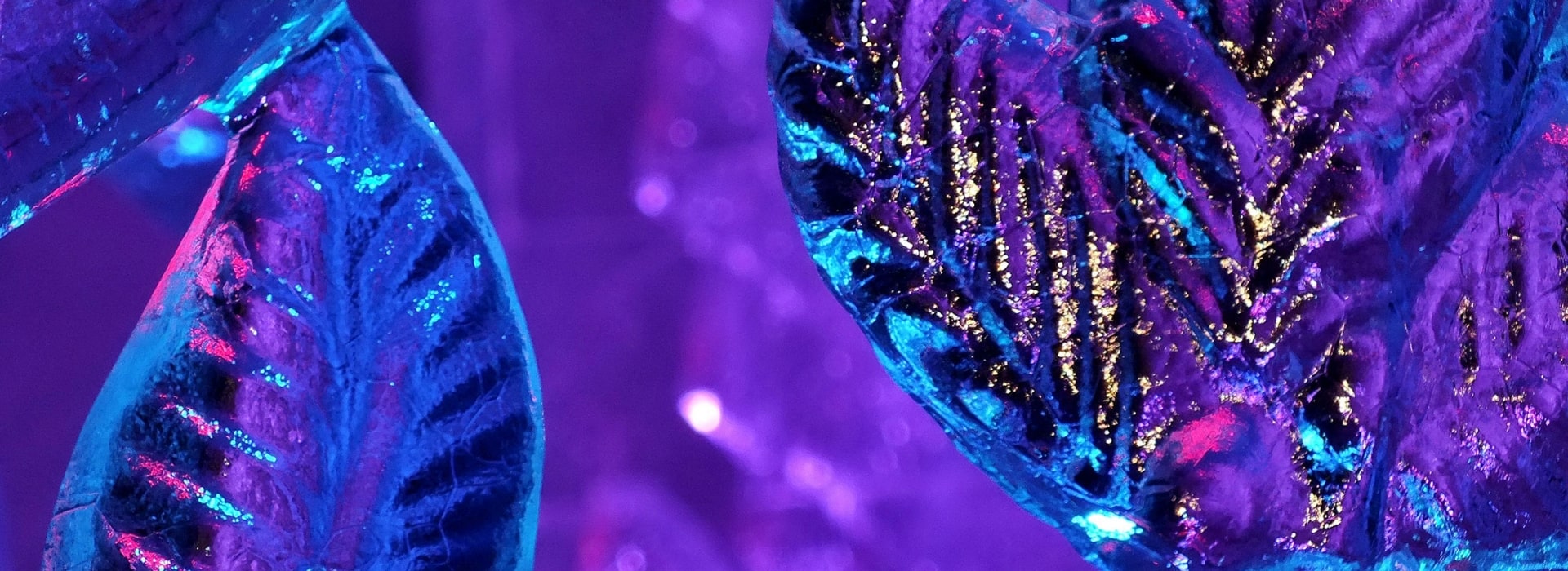 Ice Sculptures Live Carving