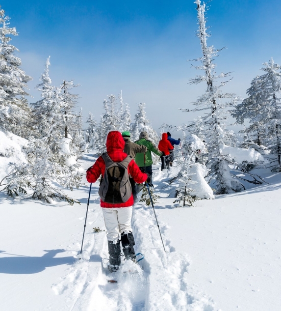 Snowshoeing