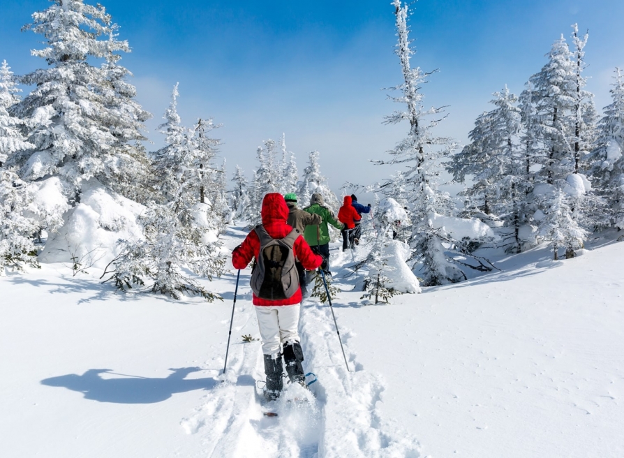 Snowshoeing