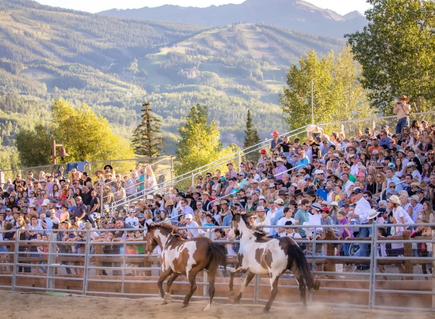 The Snowmass Rodeo